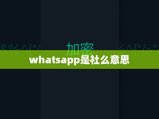whatsapp是社么意思