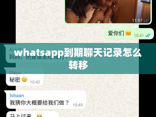 whatsapp到期聊天记录怎么转移