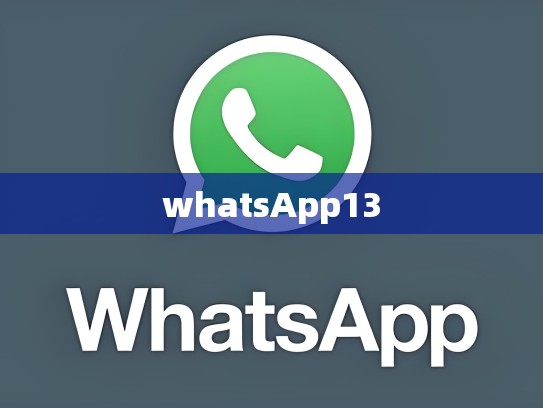 whatsApp13