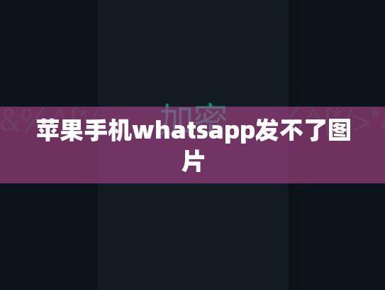 苹果手机whatsapp发不了图片