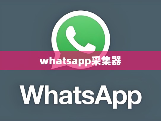 whatsapp采集器