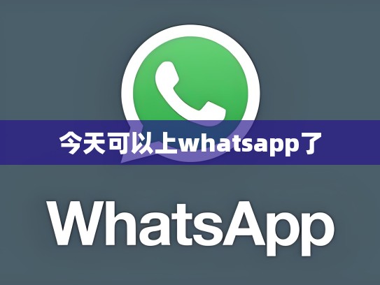 今天可以上whatsapp了