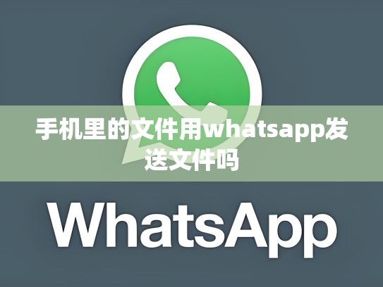 手机里的文件用whatsapp发送文件吗