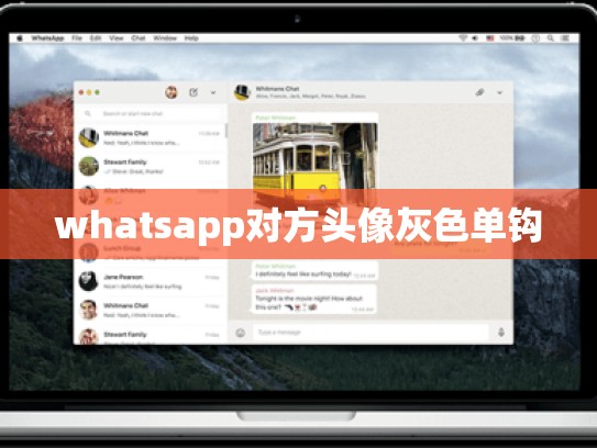 whatsapp对方头像灰色单钩