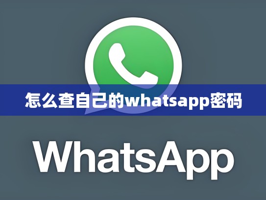 怎么查自己的whatsapp密码