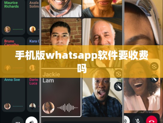 手机版whatsapp软件要收费吗