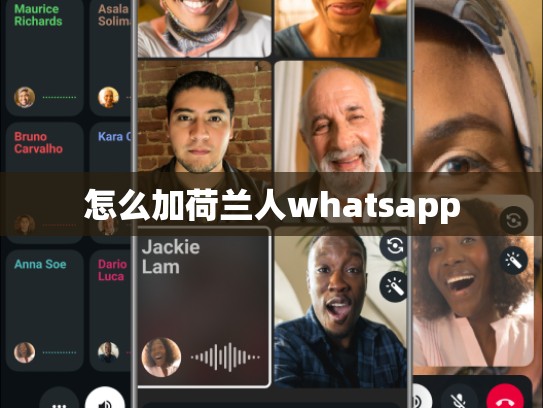 怎么加荷兰人whatsapp