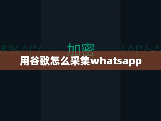 用谷歌怎么采集whatsapp