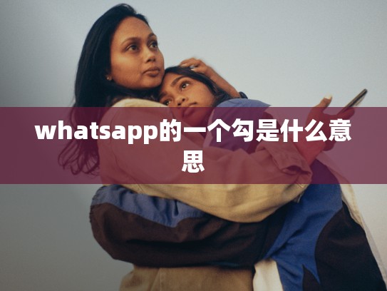 whatsapp的一个勾是什么意思