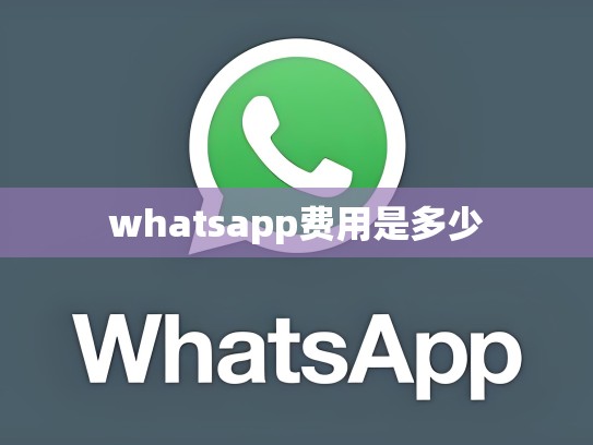 whatsapp费用是多少
