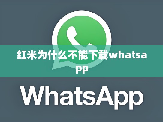 红米为什么不能下载whatsapp