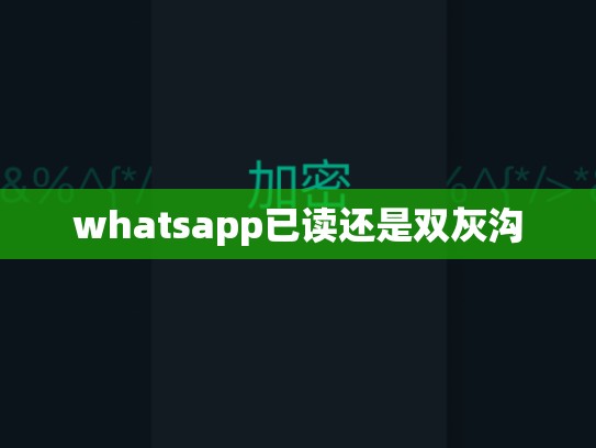 whatsapp已读还是双灰沟