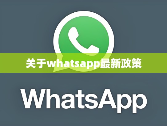 关于whatsapp最新政策