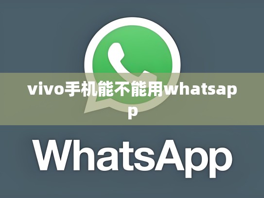 vivo手机能不能用whatsapp