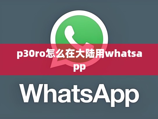 p30ro怎么在大陆用whatsapp