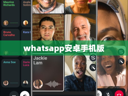 whatsapp安卓手机版