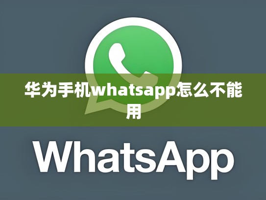 华为手机whatsapp怎么不能用