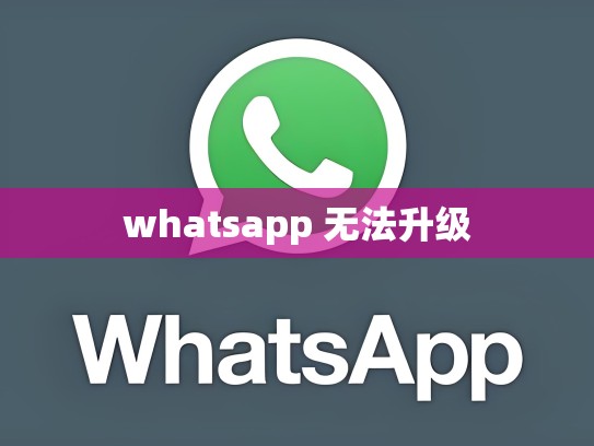 whatsapp 无法升级