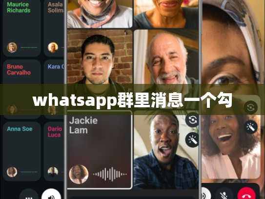 whatsapp群里消息一个勾