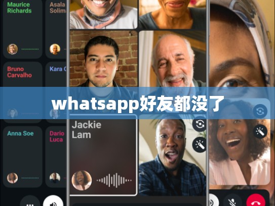 whatsapp好友都没了
