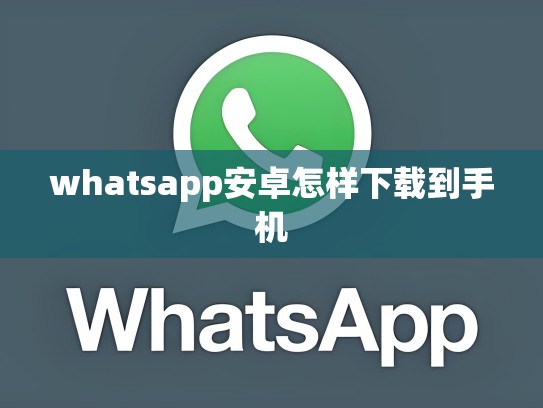 whatsapp安卓怎样下载到手机