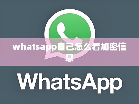 whatsapp自己怎么看加密信息