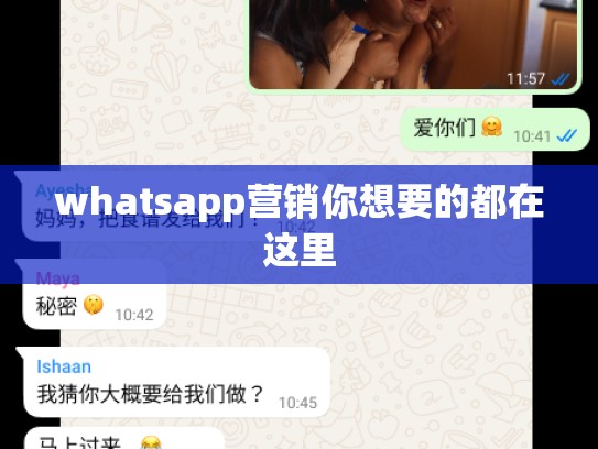 whatsapp营销你想要的都在这里