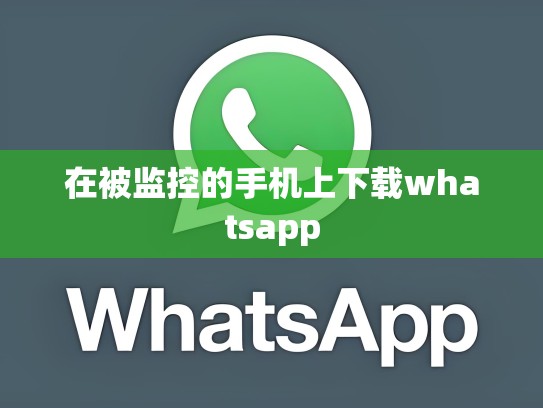在被监控的手机上下载whatsapp