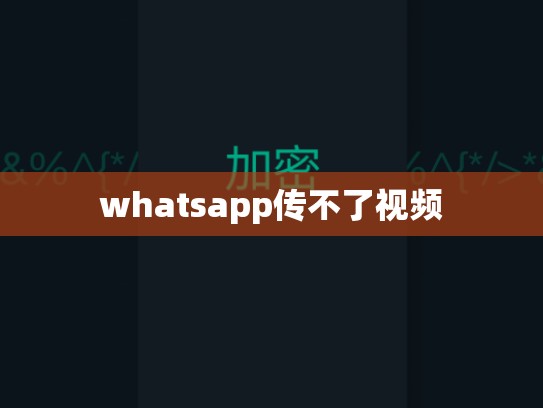 whatsapp传不了视频