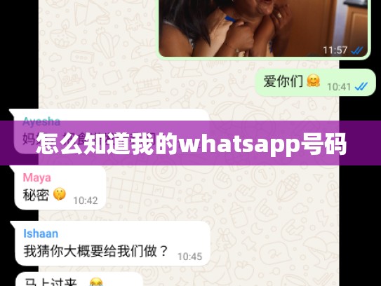 怎么知道我的whatsapp号码