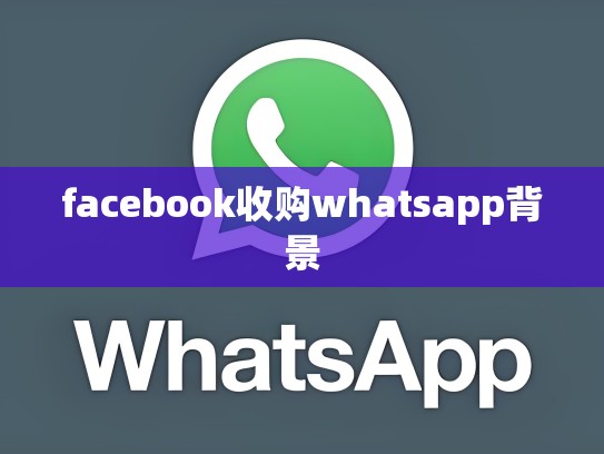 facebook收购whatsapp背景