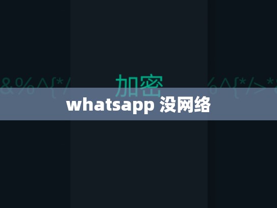 whatsapp 没网络