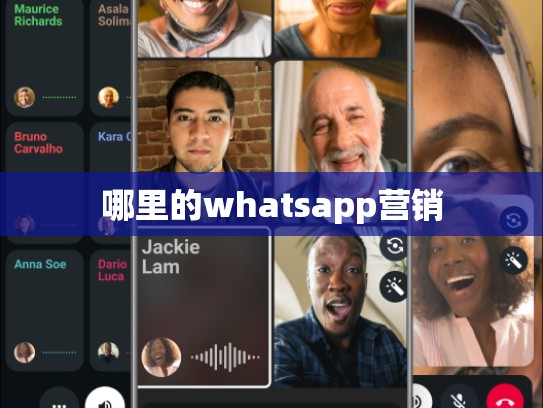 哪里的whatsapp营销