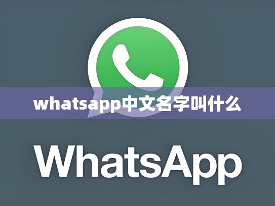 whatsapp中文名字叫什么