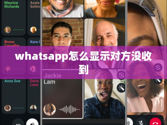 whatsapp怎么显示对方没收到