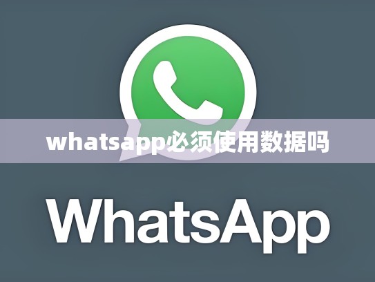 whatsapp必须使用数据吗