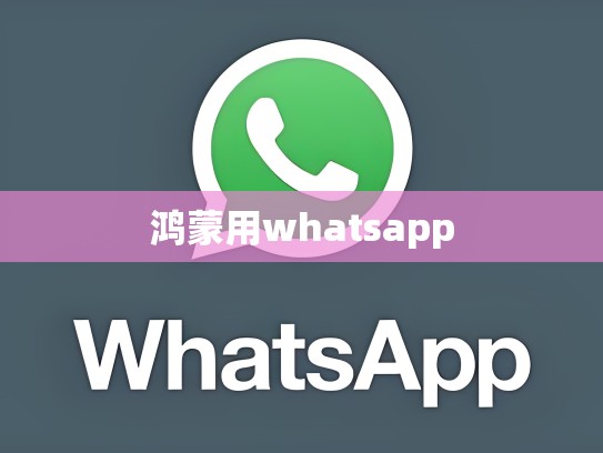鸿蒙用whatsapp