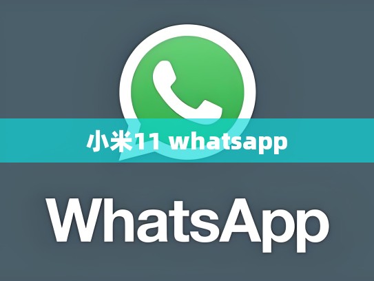 小米11 whatsapp