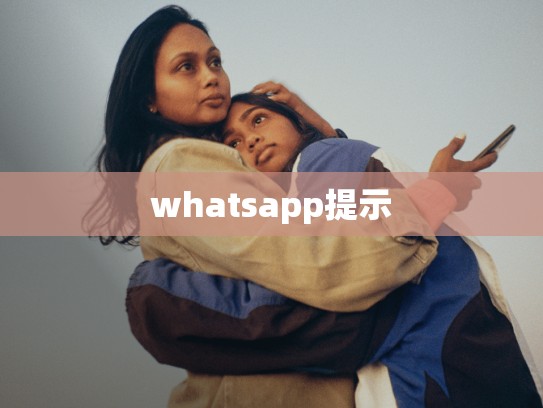 whatsapp提示