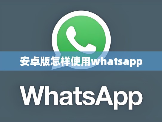 安卓版怎样使用whatsapp