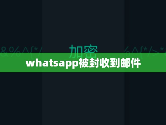 whatsapp被封收到邮件