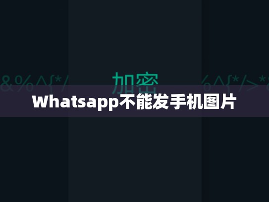 Whatsapp不能发手机图片