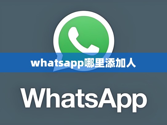 whatsapp哪里添加人