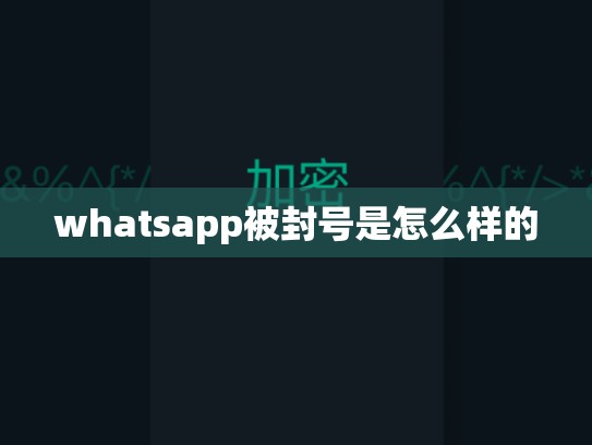 whatsapp被封号是怎么样的