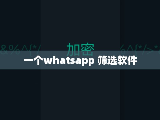 一个whatsapp 筛选软件