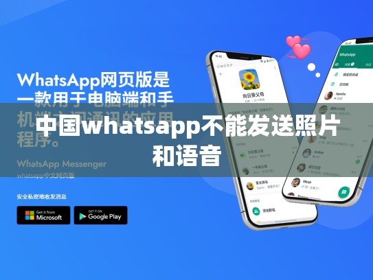 中国whatsapp不能发送照片和语音