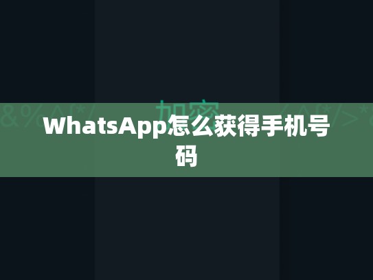WhatsApp怎么获得手机号码