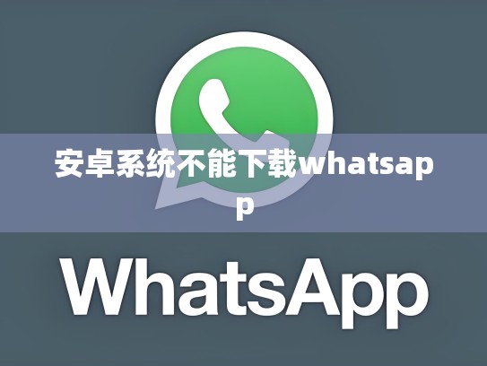 安卓系统不能下载whatsapp