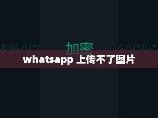 whatsapp 上传不了图片