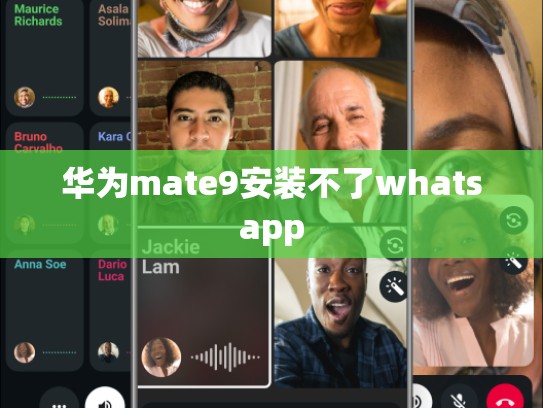 华为mate9安装不了whatsapp